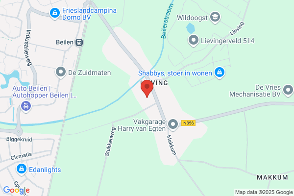 Nienhuis