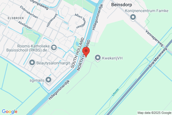 Weduwe, Der