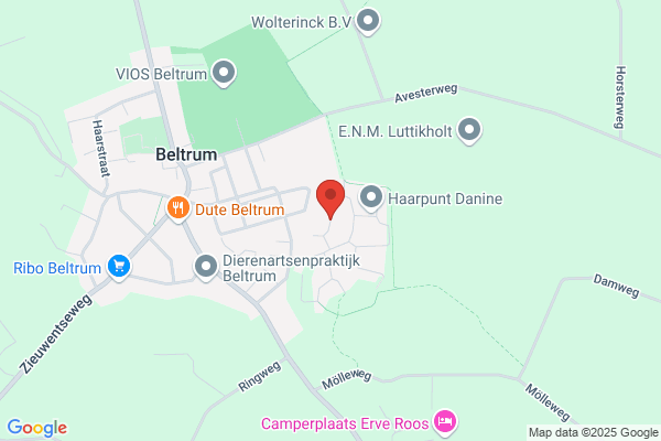 Schoenhandel Delsing