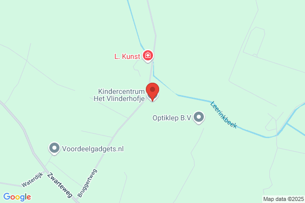 Vlinder De