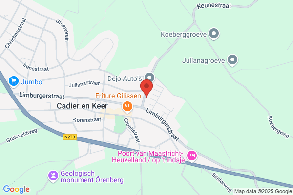 Geelen, Roger