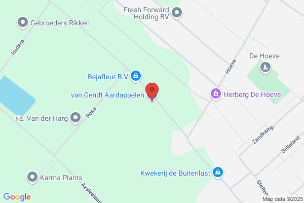 Brandenburg, C Van