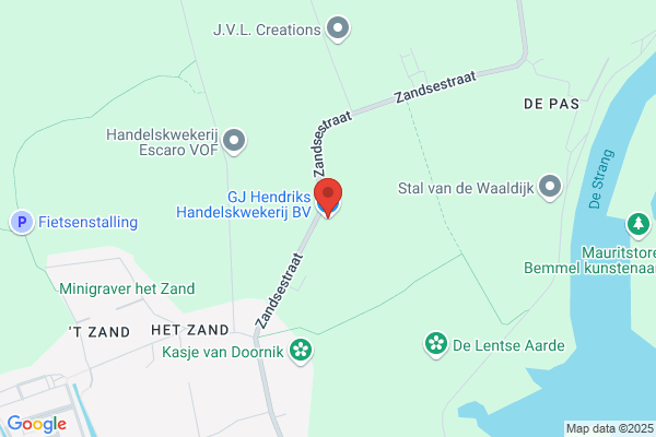 Hendriks, Theo