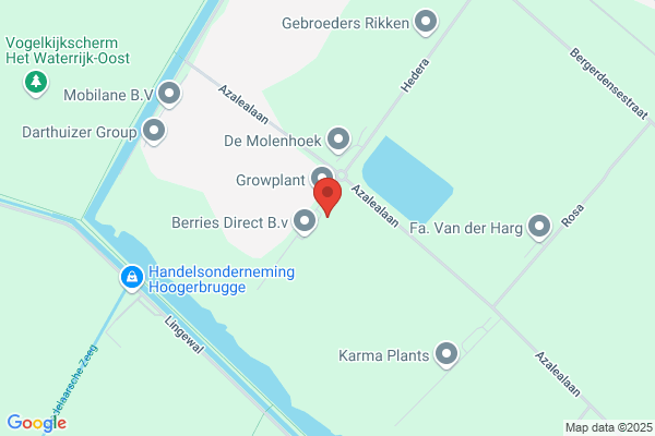 Shop Huisman