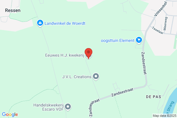 Handelskwekerij A.J.M. Van Kempen Bv