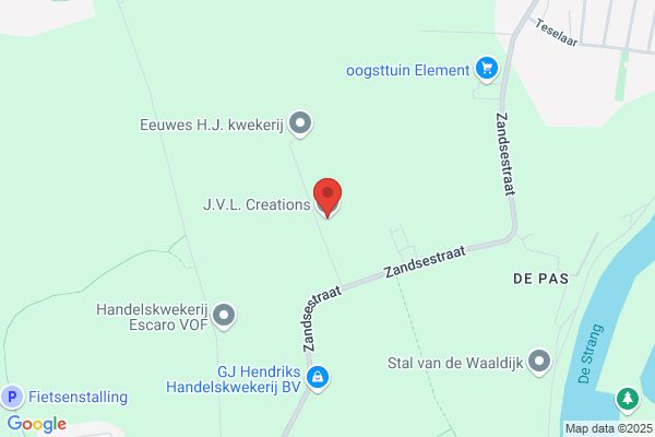 J.W. Van Nieuwkerk