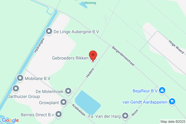 Rijkekas