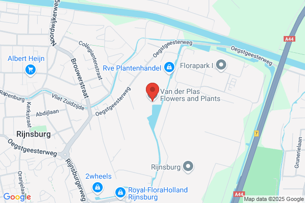 P.L. V.D. Plas
