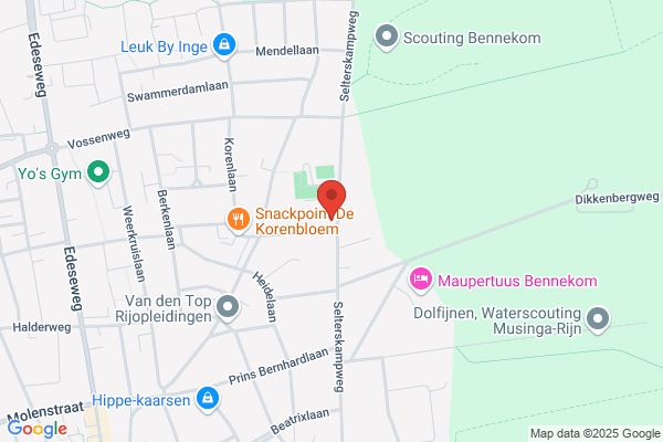Ginneken Consultancy, Van