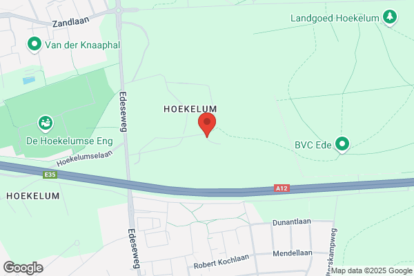 Holostiek