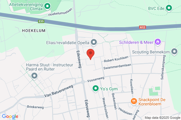 Rothuizen