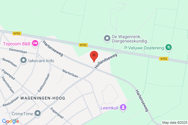 Organisatie Adviesb Putte & Partners Vd