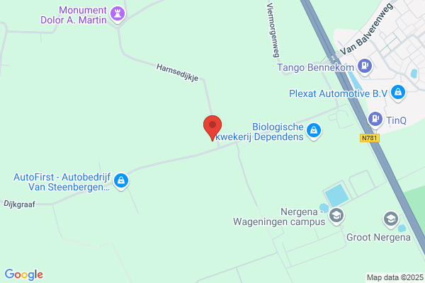 Van Dorp