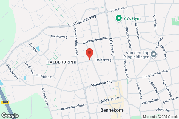 Bloemenmand, De