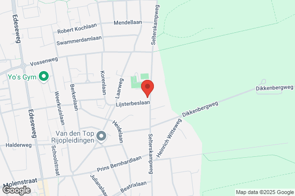 Adviesbureau Verduijn & Partners Bv