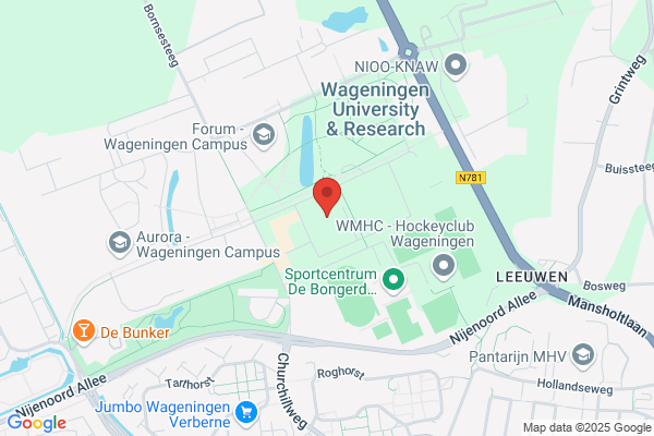 Witteveen
