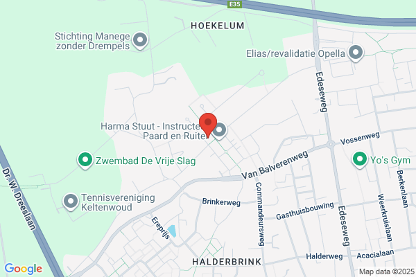Webo