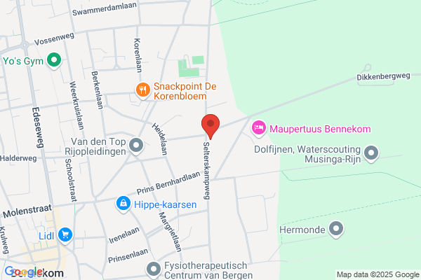 Henriëtte