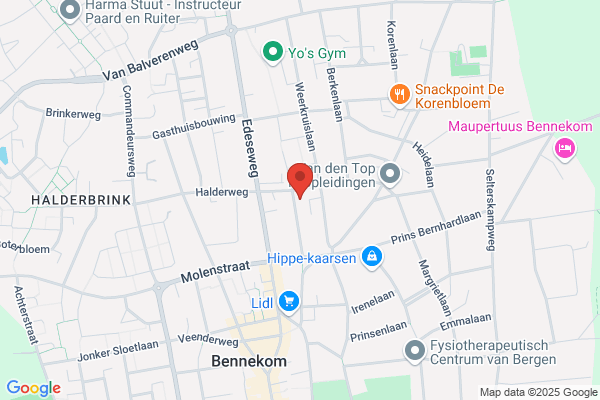 Rijsemus