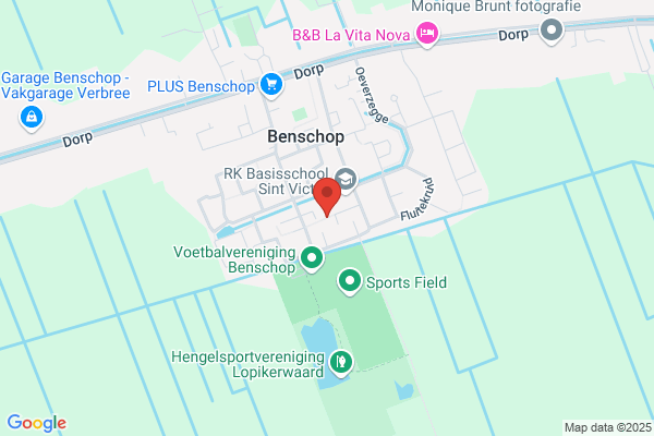 Herculiet Wandbekledingen