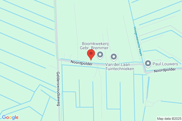 Jong, De