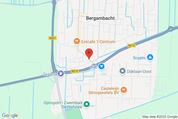 Leeuw, De