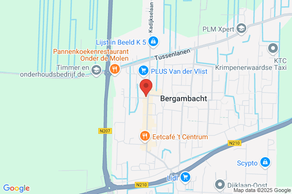 Gouden Roos, De