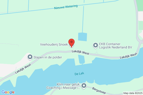 Snoek, J A