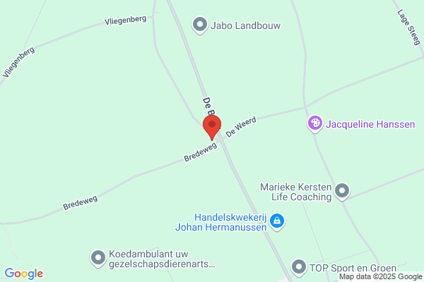 Bongers Aardappelenhandel