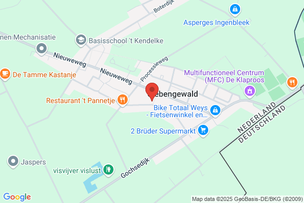Reijnen