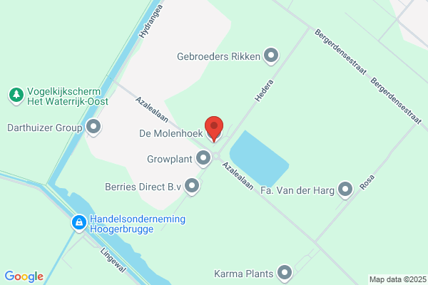 Molenhoek Orchideënkwekerij, De