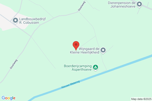 Paardenopfokbedrijf D'n Aspert