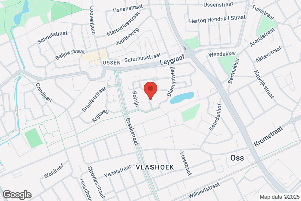 Dameskapsalon Riet