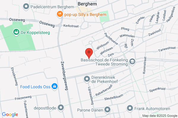 Elfenboom, De