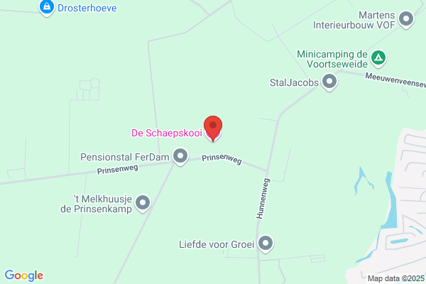 Schaepskooi, De
