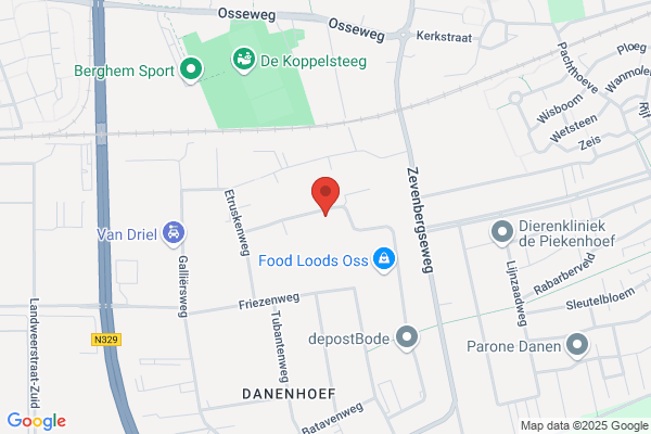 Rijn, Van