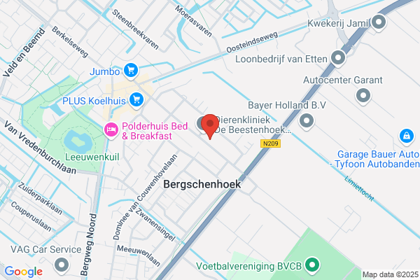 Eik, Van