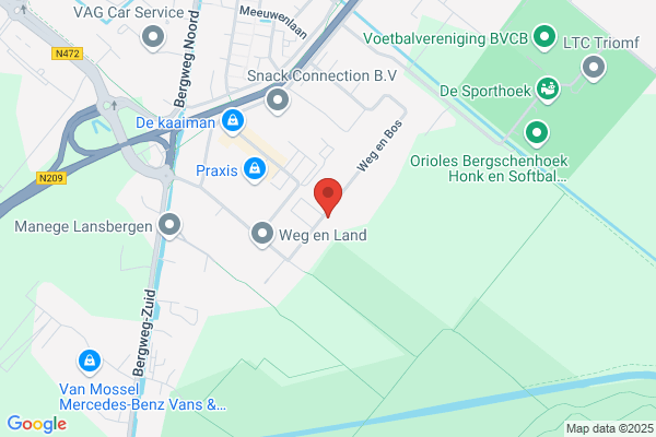 Piet Van De Burg Natuurlijke Dekoraties