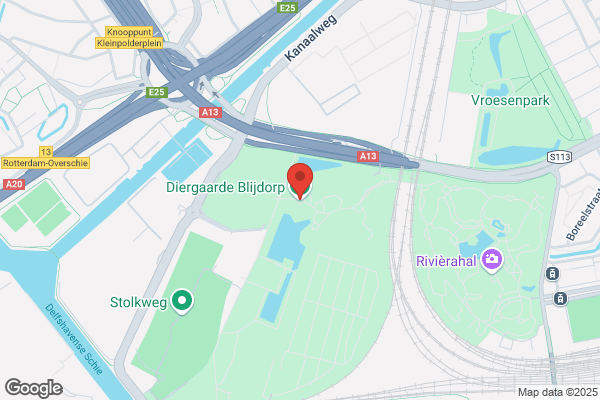 Blijdorp