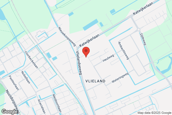 Schie Bv, Van