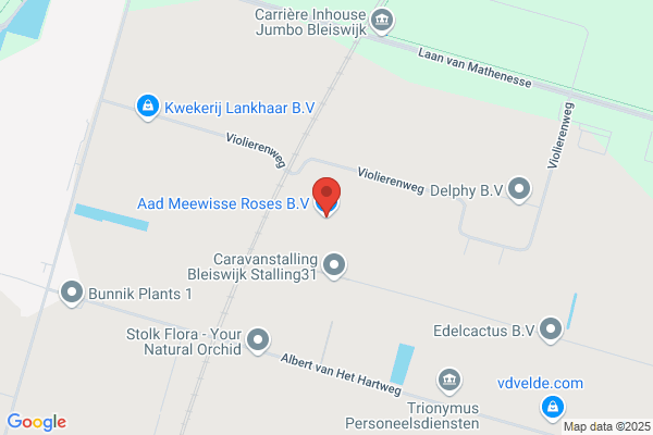 A.C.A. Meewisse Rozenkwekerij Bv