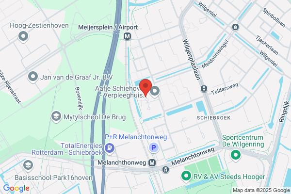 Wilgen, De