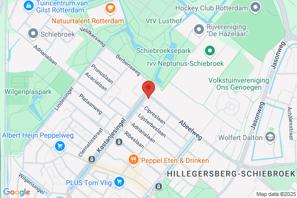 Myosotis Pameijerkeerkring Kinderdagverblijf