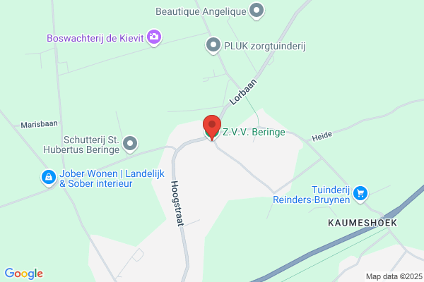 Berlinge Zvv