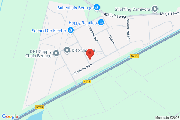 Hiemstra Export Bv
