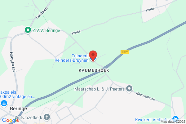 Nijssen