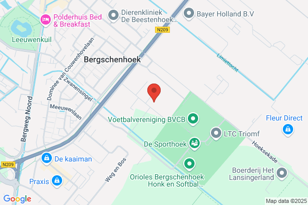 Car Cleaning Bergschenhoek