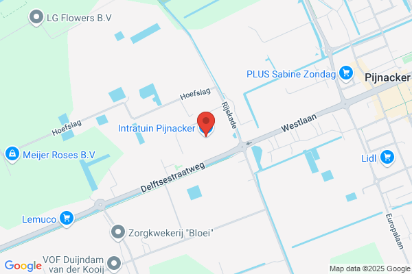 Intratuin Pijnacker