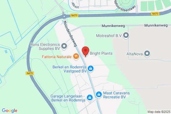 Jaap Bazuin Kamerplanten