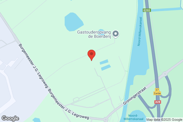 Cetc Import Export Van Bloemen En Planten